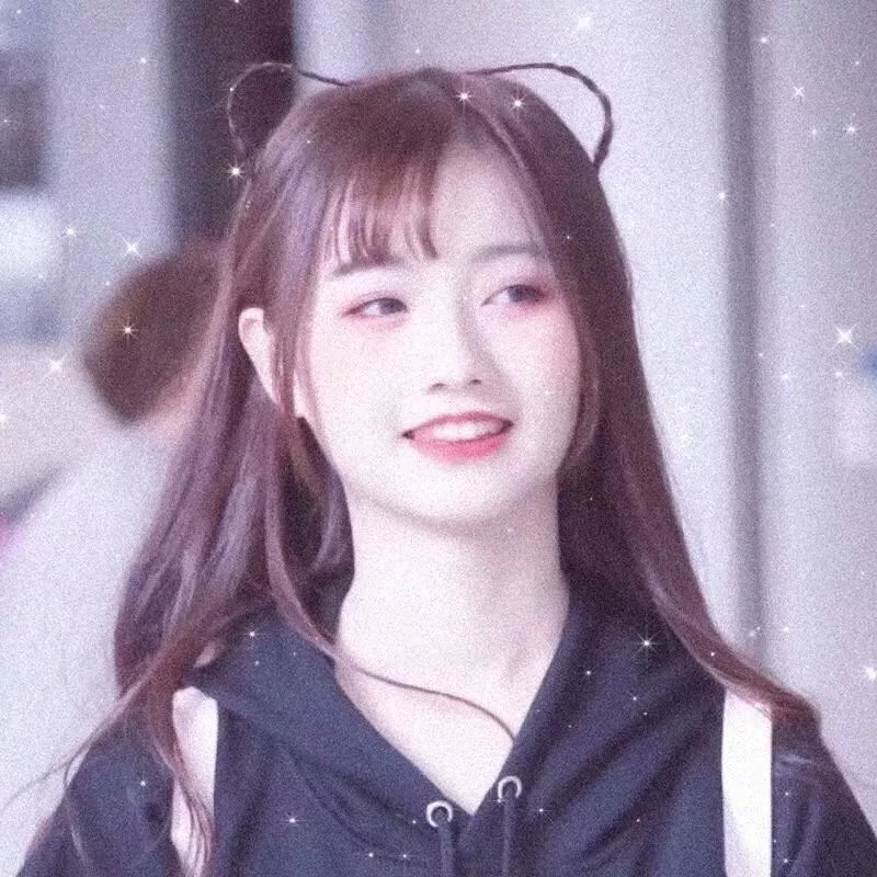 完美伴侣2025