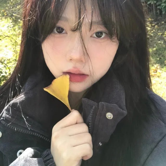 愤怒的蝴蝶